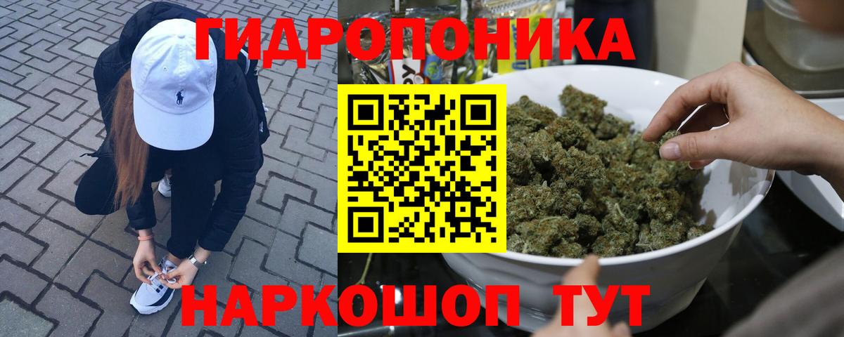 Бошки Шишки гибрид  Марихуана ГИДРОПОН  Бошки Шишки VHQ  Вышний Волочёк  Вход с VPN 